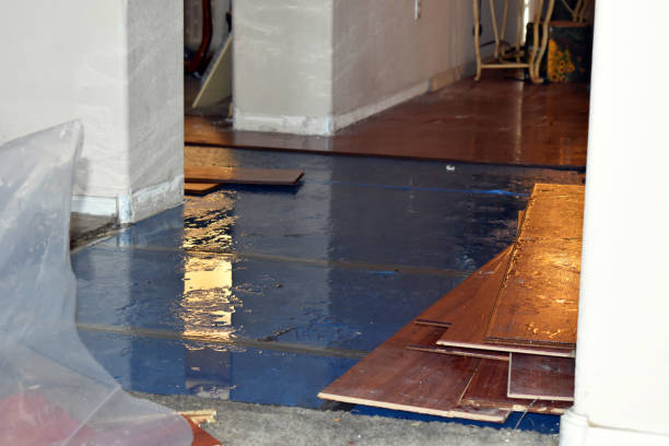 Professional Water Extraction technician working in Wood River Junction, RI